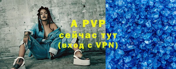 МДПВ Снежинск